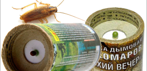 Insekticidní kouřové bomby pro ničení švábů v bytě
