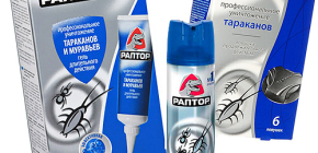 Rättsmedel för kackerlackor Raptor: aerosol, fälla eller gel. Vad är bättre?