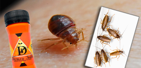 Ubat untuk bedbugs dan lipas Zon Delta: penerangan dan ulasan