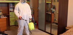 Over desinfectie van kakkerlakken en belangrijke regels voor de implementatie ervan in het appartement