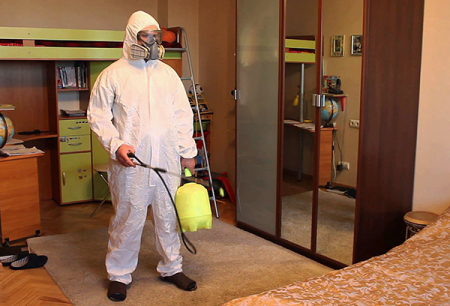 Om desinfektion från kackerlackor och viktiga regler för dess genomförande i lägenheten