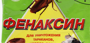 Penggunaan Phenaksin dari bedbugs: ulasan dan arahan