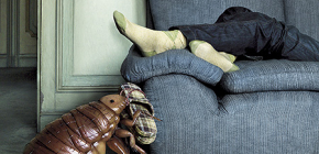 Как да се отървете от дървеници на дивана
