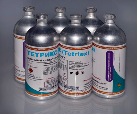 Ubat profesional untuk bedbugs Tetrix
