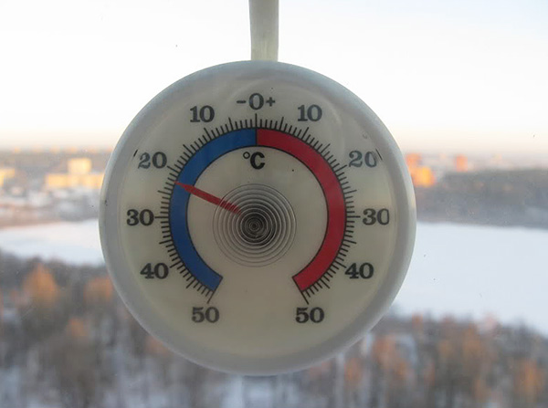 Pepijat mati pada suhu di bawah tolak 22 darjah Celsius.