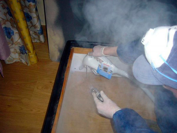 Bạn có thể loại bỏ rệp trong đồ nội thất với sự trợ giúp của hơi nước nóng từ tủ hấp ...