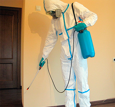 Disinfezione dell'appartamento dagli scarafaggi