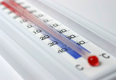 Θερμοκρασία για κοριούς: κατάψυξη ή θερμική επεξεργασία (ή ατμός)