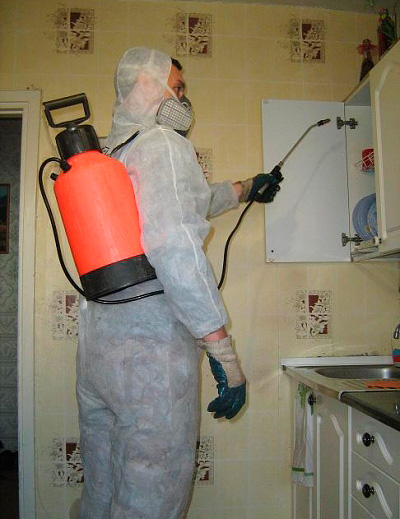 Een medewerker van de ongediertebestrijdingsdienst behandelt het appartement tegen kakkerlakken