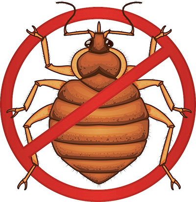 Preparativi per la distruzione di insetti mobili