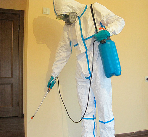Exterminator tratează apartamentul de insecte