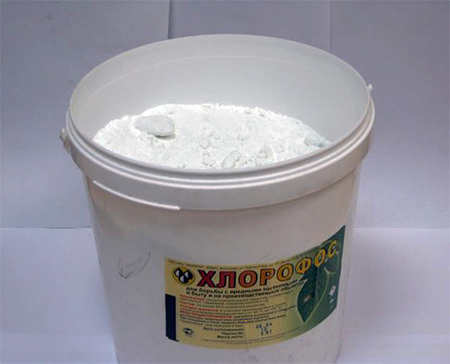 Clorofos: polvere insetticida