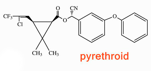 피레스로이드의 화학 구조의 예