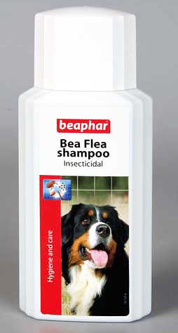 Beaphar 벼룩 샴푸는 비싸지 만 개에게 효과적이고 안전합니다.