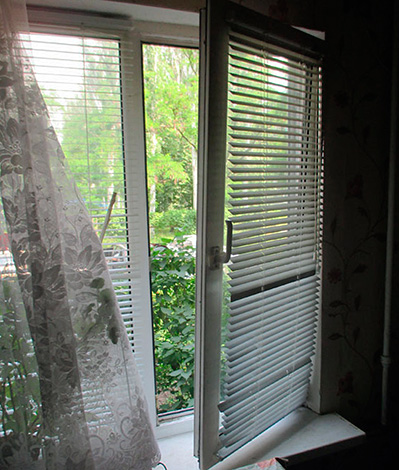 Om fönstren i lägenheten är tillräckligt låga, kan parasiter hoppa in i rummet direkt från gatan.