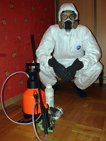 Stručnjaci službe za kontrolu štetočina mogu za vas obaviti sav posao kako bi se riješili zemljanih buha u kući.