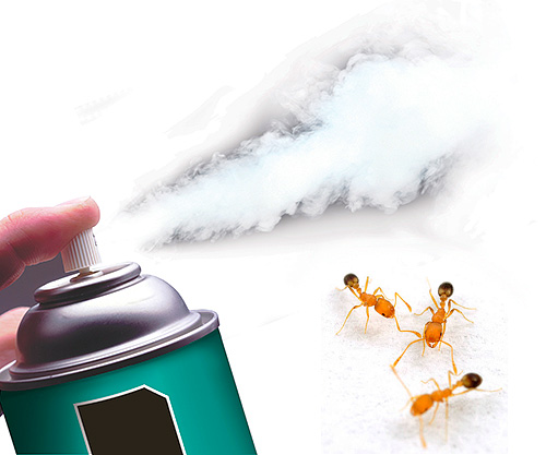 Hari ini terdapat semburan racun serangga yang sangat berkesan yang membunuh semut dengan cepat.