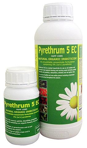 Di luar negara, serbuk pyrethrum dan pekat digunakan untuk mengawal pepijat dan perosak tanaman kebun. 