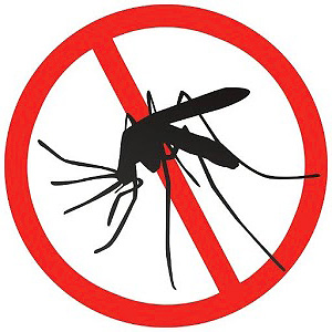 Een ultrasone repeller zal werken op muggen, maar het is onwaarschijnlijk dat het zal werken op mieren.