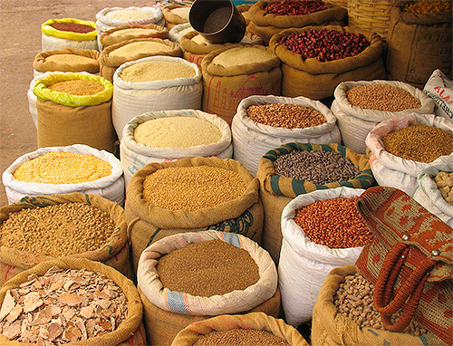 Sve vrste žitarica - omiljena hrana prehrambenog moljca