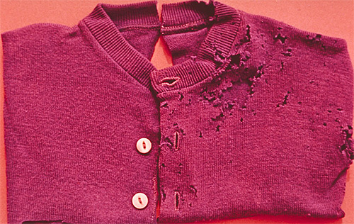 Molia de haine se hrănește cu fibre din materiale naturale