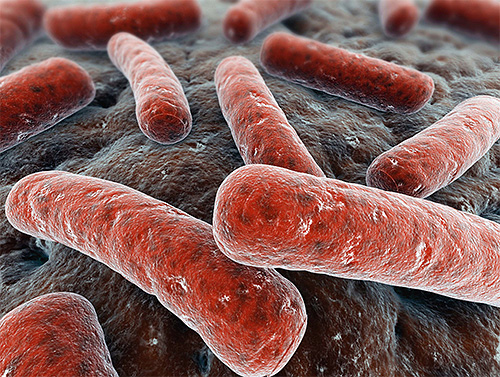 Z hlediska zdravého rozumu nebude zázračný extrakt schopen selektivně ničit pouze mykobakterie způsobující tuberkulózu.