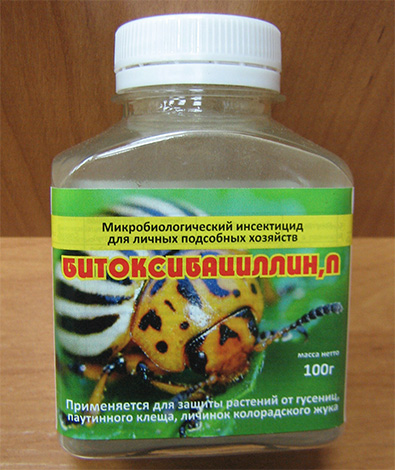 Bitoxibacillin은 양배추 나방과의 싸움에서 입증되었습니다.