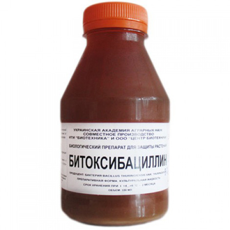 Bitoxibacilin se úspěšně používá k hubení molů bramborových