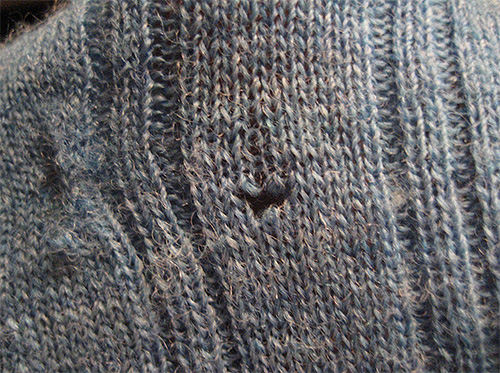 Lỗ thủng trên áo len này do ấu trùng sâu bướm quần áo để lại.