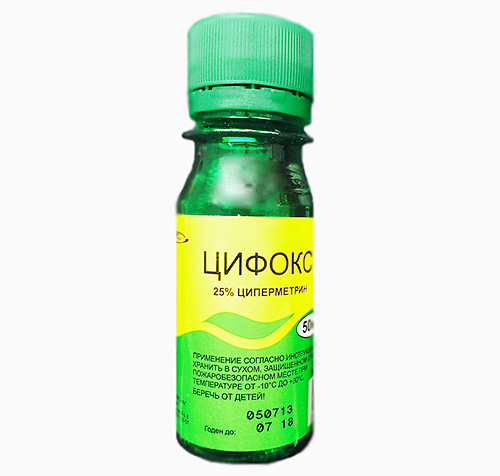 Medicamentul Cyfox este folosit cu succes de către exterminatori pentru a ucide ploșnițele.