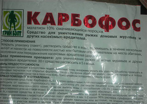 وفقًا للتعليمات ، يجب تخفيف مسحوق Karbofos بالماء قبل الاستخدام.