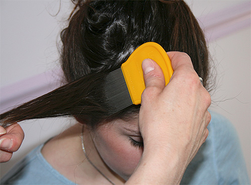 Za češljanje ušiju i gnjida koriste se posebni češljevi.