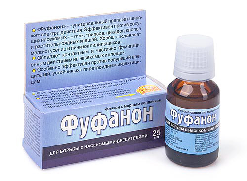 Medicamentul Fufanon de la ploșnițe poate fi cumpărat într-un recipient mic