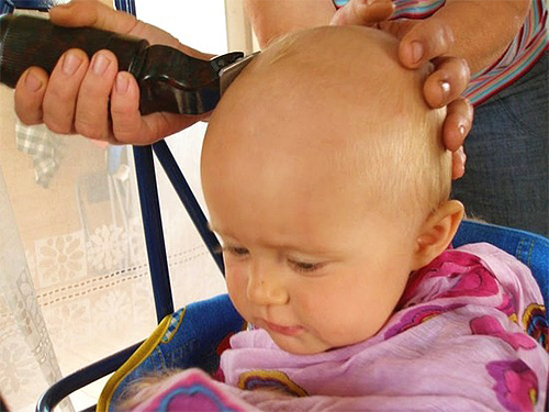Başı bitlerden tedavi ettikten sonra, çocuğu kel kesmek en iyisidir. Doğru, bu yöntem kızlar için pek uygun değil.