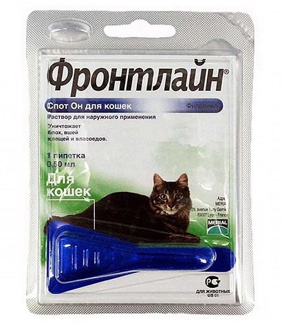 Frontline pire ilacı - hem kediler hem de kediler için uygundur