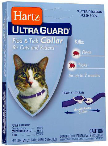 Innan du använder ett lopphalsband är det värt att kontrollera kattens hud för känslighet för dess insekticider.