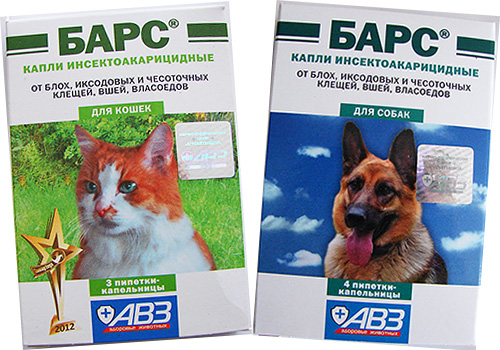 Γνωρίζουμε το εγχώριο φάρμακο για ψύλλους για γάτες και σκύλους - Bars drops