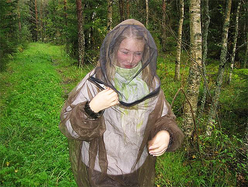Untuk mengelakkan gigitan serangga di dalam hutan, termasuk kutu moose, gunakan kelambu
