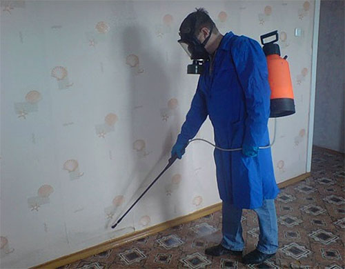 Op de foto - een professionele verdelger tijdens het verwerken van een kamer tegen vlooien