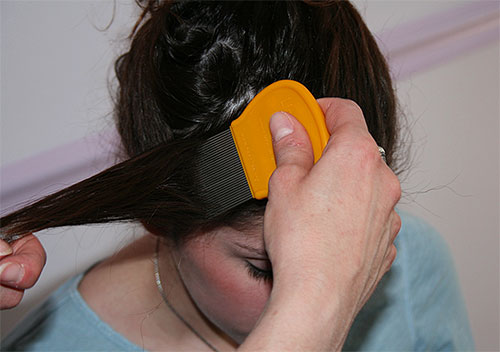 Dopo il trattamento con Medifox, vale la pena pettinare i capelli con un pettine per pidocchi