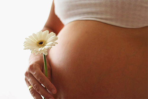 Om du ska använda det ena eller det andra medlet mot löss under graviditeten, läs noggrant instruktionerna för eventuella kontraindikationer