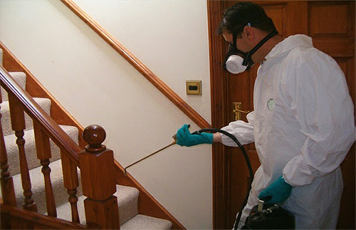 تشمل خدمة الجناح إعدادًا كاملاً للمباني للعلاج من بق الفراش وتنظيفه بعد ذلك.
