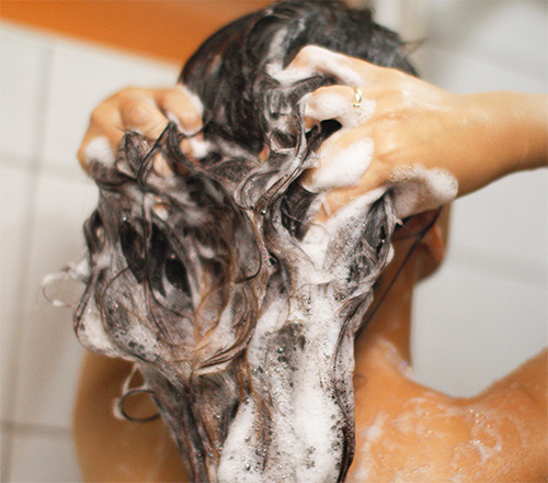 Πριν χρησιμοποιήσετε το νερό hellebore, θα πρέπει πρώτα να πλύνετε τα μαλλιά σας με κανονικό σαμπουάν.