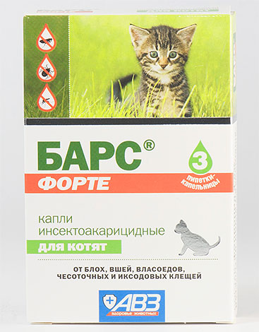 Yavru kedi Bars Forte için böcek ilacı damlaları