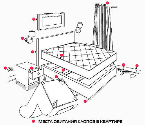 De afbeelding toont de plaatsen in het appartement waar u in de eerste plaats naar bedwantsen moet zoeken.