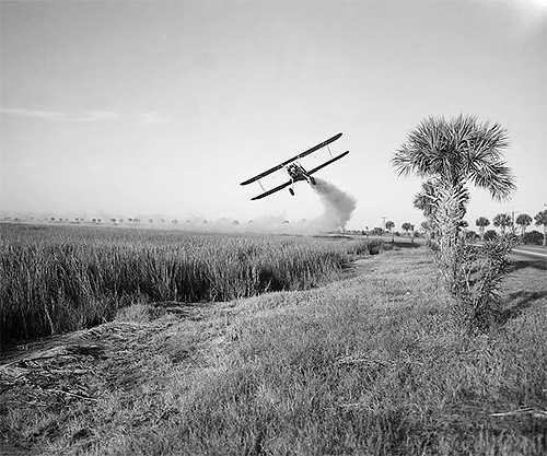 Na fotografiji - tretiranje polja pesticidom DDT iz zraka