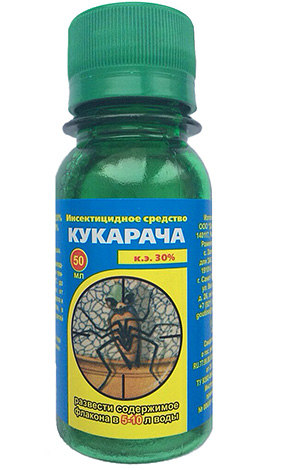 Cucaracha 스프레이 농축액은 빈대에 효과적이지만 불쾌한 냄새가 있습니다.