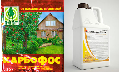 Ο εντομοκτόνος παράγοντας Karbofos παράγεται τόσο σε μορφή σκόνης όσο και σε μορφή υγρού (συμπυκνωμένο γαλάκτωμα)