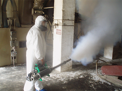 Selalunya racun serangga yang lebih kuat digunakan dalam pekat semburan daripada aerosol siap pakai.