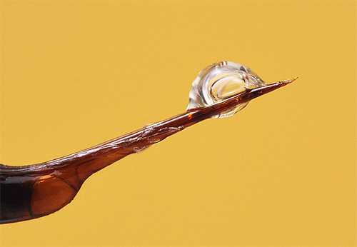 De foto toont een wespensteek met gif